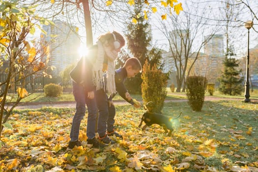 Children boy and girl playing with dachshund dog in a sunny autumn park, yellow leaf fall background
