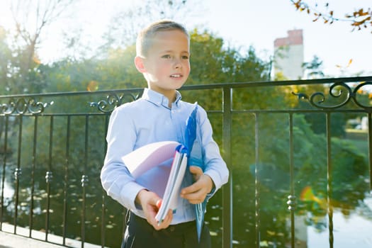 Back to school, portrait of a boy with a backpack, school supplies, background autumn yellow park, golden hour