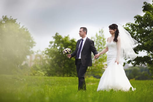 The bride and groom holding hands walking on the green grass in the park on a summer day