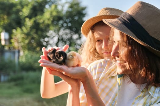 Happy family mother with daughter in nature, woman holding small newborn baby chicks in hands, farm, country rustic style, background grass garden, golden hour