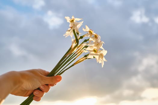 Bouquet of white spring flowers of daffodils in hand, flowers beginning to fade, background dramatic,evening sunset sky with clouds