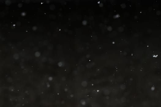 Falling snowflakes on night sky background, isolated for post production and overlay in graphic editor. Bokeh of white snow on a square shape gray background.