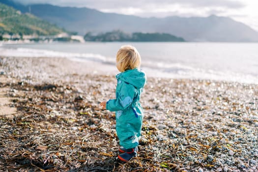 Little girl in overalls stands half-turned on seaweed on the beach by the sea. High quality photo