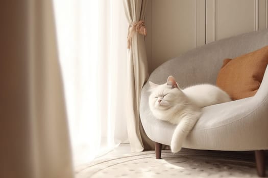 Modern living room interior Cute cat near couch.