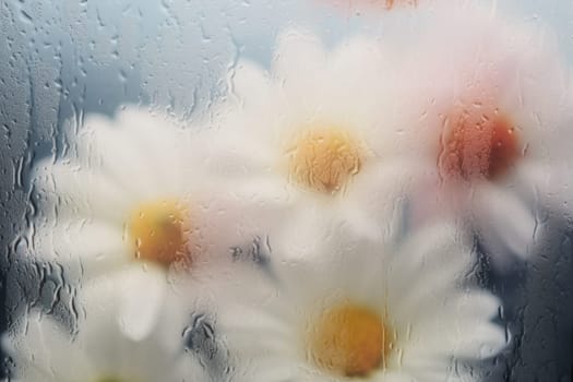 Background of blooming flowers in front of glass with water drops.