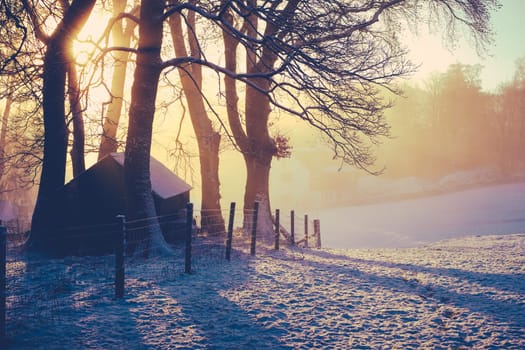 A Tiny Cabin In A Snowy Wilderness At Sunset