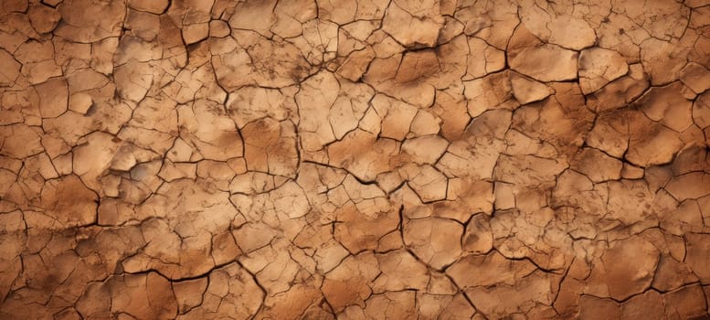 Dry cracked earth representing drought and arid climate conditions.