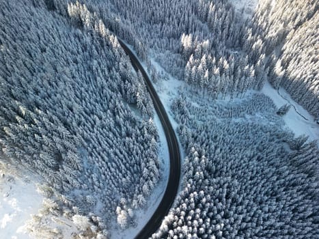 Aerial view of empty asphalt serpentine road in winter forest of Low Tatras mountains, Slovakia. Drone overhead view to snowy scenery with winding road curve, woodland on Demanovska Dolina route