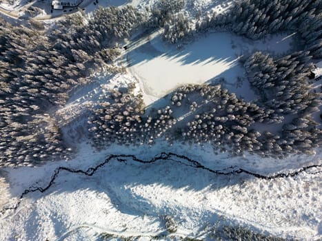 Aerial view of winter pine forest on Low Tatras mountain slope in Slovakia. Drone above view to snowy landscape with tops of fir trees on hills in cold weather, twisty winding path at sunset