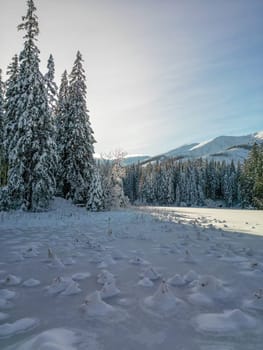 Winter forest landscape with snow and ice in Low Tatras of Slovakia. Scenic calm view of hoarfrost and snowdrifts on snowy lake surface in shadow of pines, coniferous trees and mountains on horizon