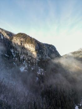 Aerial view of misty pine forest on winter Low Tatras mountain slope in Slovakia. Calm scenic fog and mist from above snowy fir trees growing on beautiful rocks at height, dark moody cold scenery