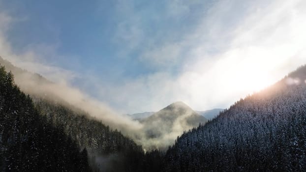 Aerial view of foggy winter forest and sunrise in Low Tatras mountains of Slovakia. Cold morning scenic panoramic snowscape with pine trees and fog on cliffs, frozen landscape with sunshine in sky