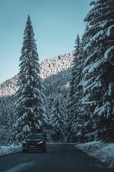 Winter sunset landscape with asphalt road through pine forest in Low Tatras, Slovakia