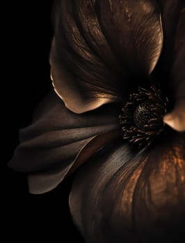 Sensual Chocolate Anemone Flower, Intimate and Dark Botanical Artwork