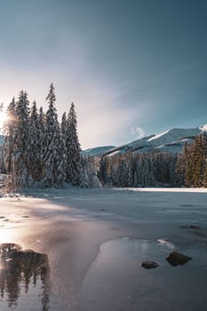 Winter landscape in sunlight, pine forest near lake with water and ice in Low Tatras mountains at sunset, Slovakia