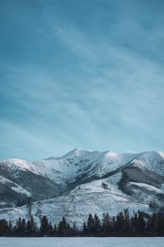 Winter mountain landscape at frozen day, snowy evergreen forest and field in Low Tatras, Slovakia