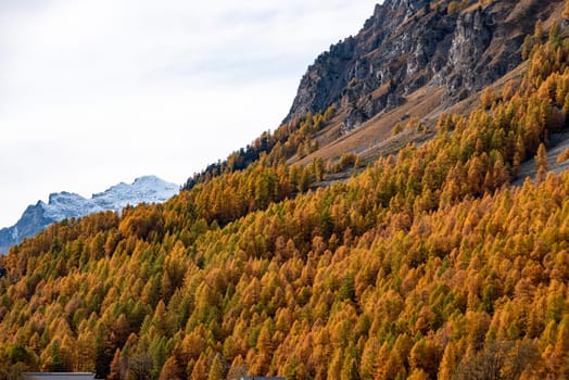 Scenic autumn landscape at lake Silvaplana near St. Moritz, Switzerland