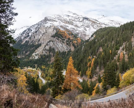 Scenic winding road at Maloja pass in Switzerland in autumn