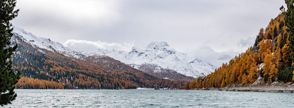 Lake Silsersee in autumn with snowcapped Piz da la Margna at the Maloja pass, Switzerland