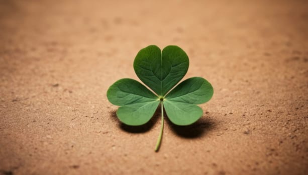 A stunning image of a large green clover leaf backlit by the golden sun. The leaf is surrounded by shadows and plants on the forest floor, creating a contrast between light and dark.