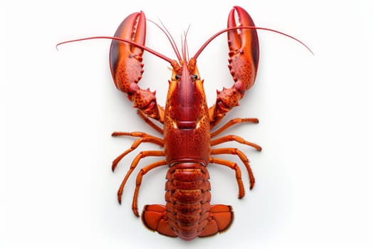 a red lobster on a white background.AI generative.