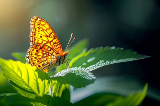 Close-up photography of butterfly in forest. generative AI.