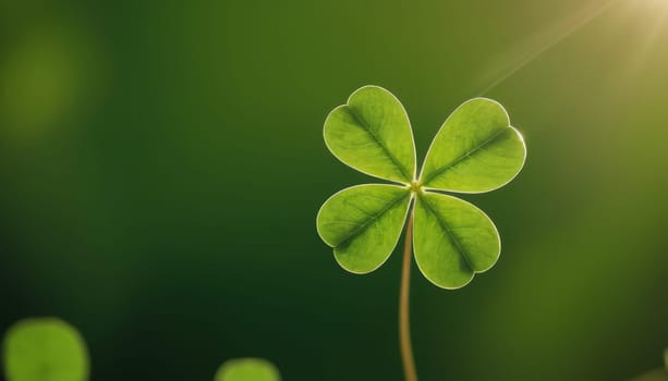 A close-up shot of fresh green clover leaves with water drops on a soft blurred background. This image symbolizes luck, nature, and growth.