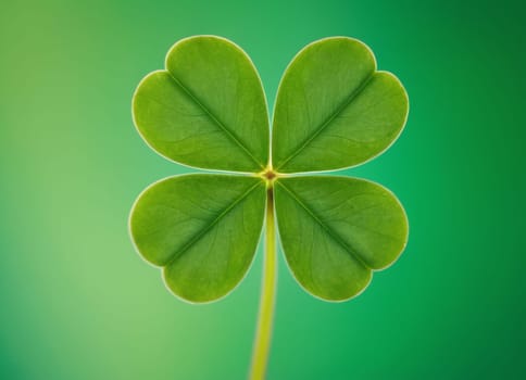 A close-up shot of fresh green clover leaves with water drops on a soft blurred background. This image symbolizes luck, nature, and growth.