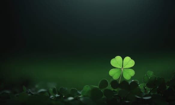 A close-up shot of fresh green clover leaves with water drops on a soft blurred background. This image symbolizes luck, nature, and growth.