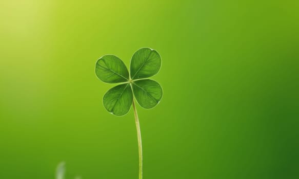 A close-up shot of fresh green clover leaves with water drops on a soft blurred background. This image symbolizes luck, nature, and growth.