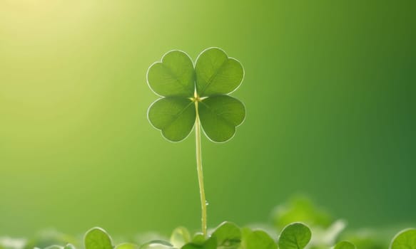 A close-up shot of fresh green clover leaves with water drops on a soft blurred background. This image symbolizes luck, nature, and growth.