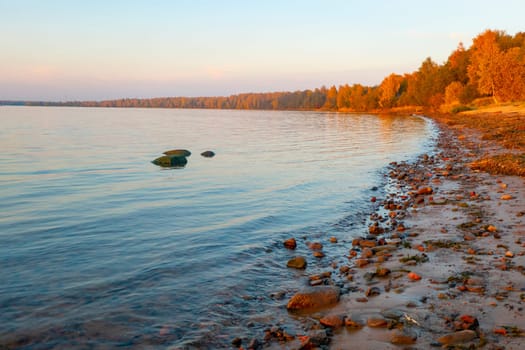 Colorful autumn landscape with birch grove with golden foliage on the shore of the lake and beautiful reflections at sunset. High quality photo