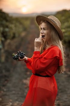 portrait of a happy woman in the summer vineyards at sunset. woman in a hat and smiling