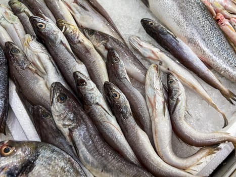 Close-up of fresh raw fish in ice on the counter at a fish market