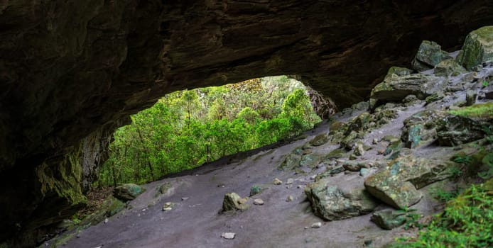 Tranquil cave entrance showcases a lush forest.