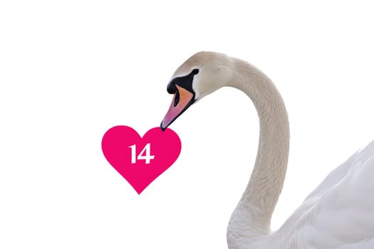 white swans and pink hearts for valentine's day.AI generative.