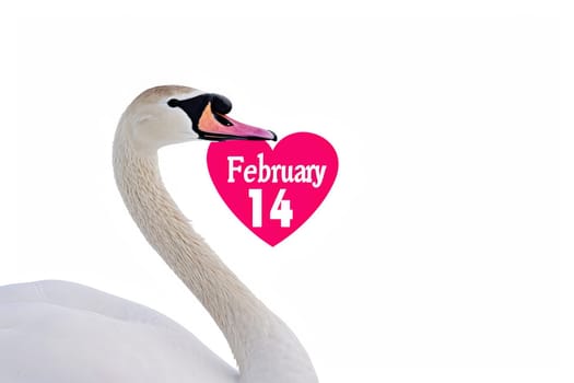 white swans and pink hearts for valentine's day.AI generative.