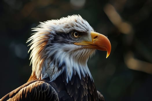 close up eagle on blur background natural . Ai generation.