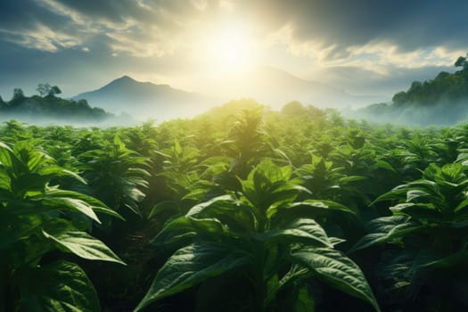 Farm harvest green field. Outdoor nature plant vegetable organic eco product.AI Generative..