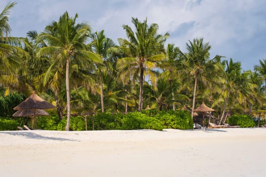 Wooden beach parasols and beach loungers.Luxury beach loungers and umbrella at luxurious beach resort. Summer beach concept,carefree, rest seaside,Nobody on the beach.Tropical palms on the back.