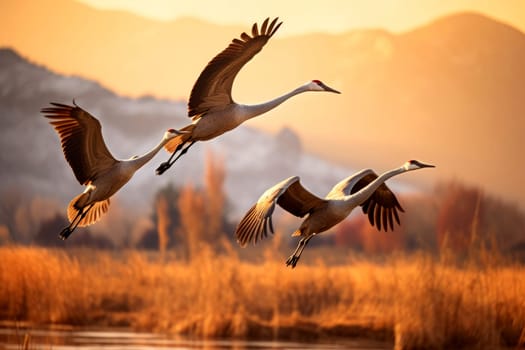 A flock of Sandhill Cranes during their fall migration. AI generative.