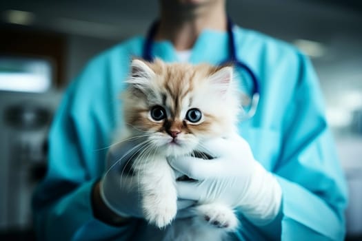 Veterinarian examining a cat in a veterinary clinic, closeup. Generative Ai.