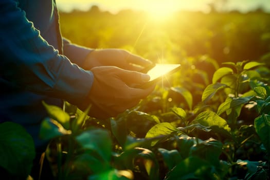 a farmer standing in field with table. Generative AI..