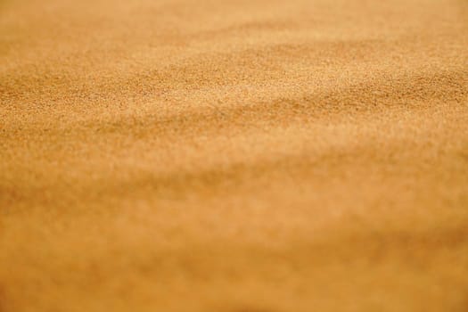 Sand grains arranged wavy in the desert, close-up, texture as background