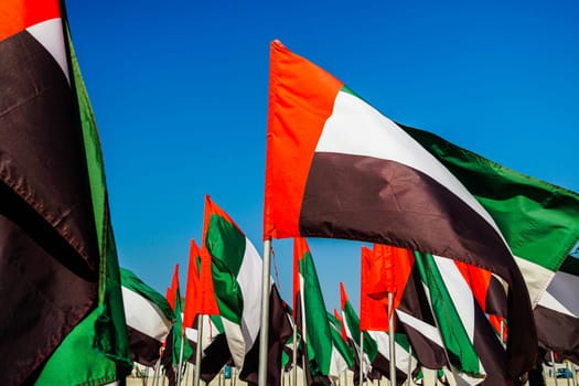 Flags of the United Arab Emirates against the sky on the beach in Dubai