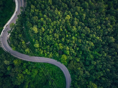 Aerial view of dense green trees in forest capture CO2 and curve highway road. Green trees background for carbon neutrality and net zero emissions concept. Sustainable green environment. Carbon credit