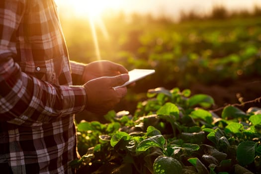 a farmer standing in field with table. Generative AI..