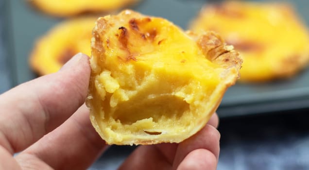 A man's hand holds a half-eaten bitten fresh Portuguese Pastel de Nata pie with custard on the background of a baking dish. Pastel de Belem is a pastry with a burnt top and a crispy puff pastry crust