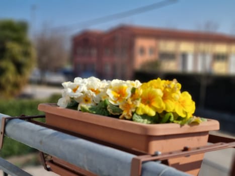 Charming flower-filled planter hanging on a railing. Copy Space
