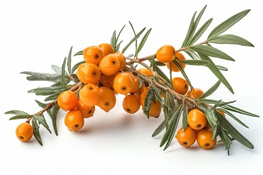 Sea buckthorn on background. Juicy orange cherry, fresh and sweet. Generated AI